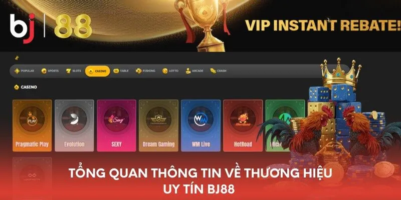 Tổng quan về BJ88